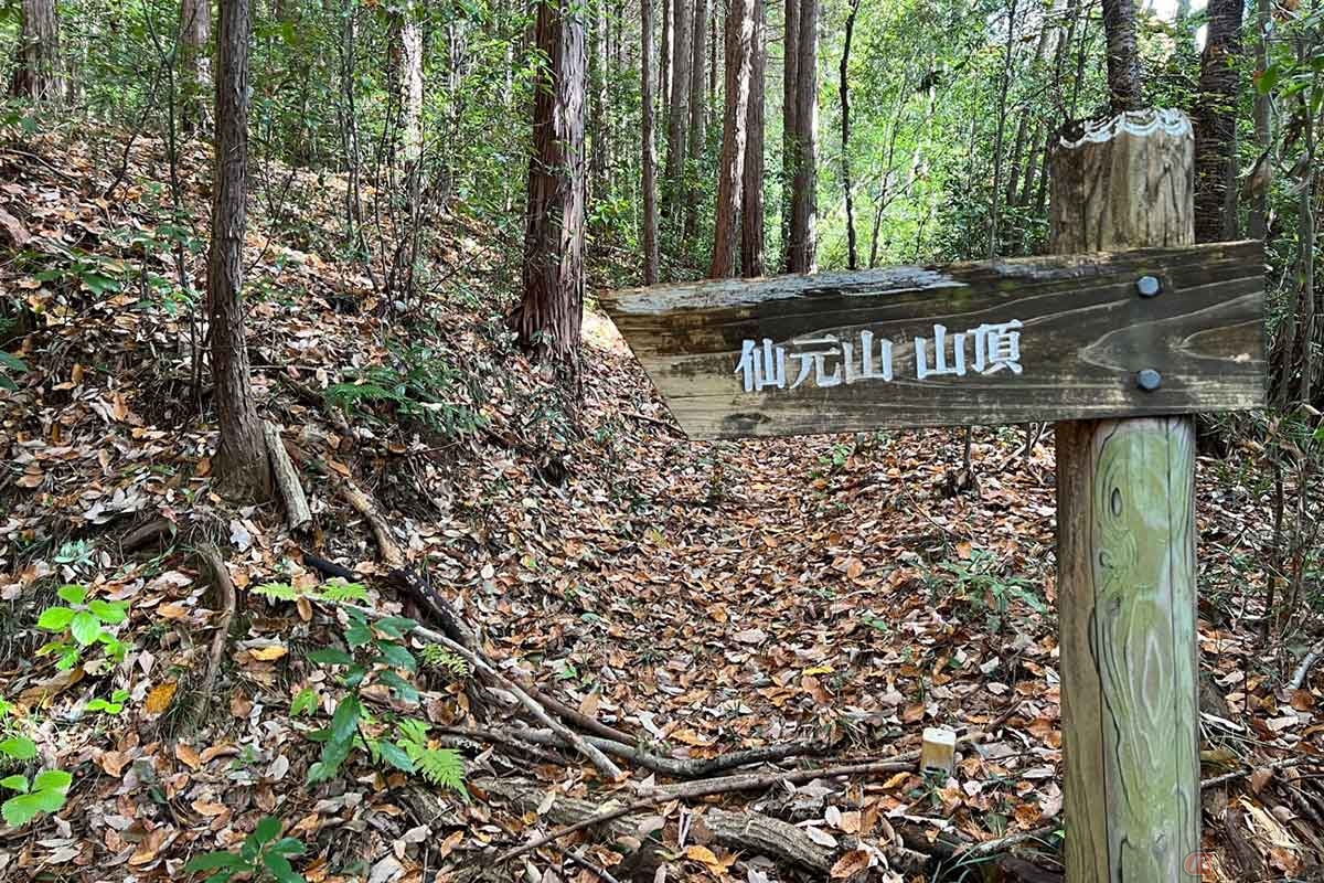登山道の途中で「仙元山山頂」方面を記す看板あり。見過ごして直進しないよう注意