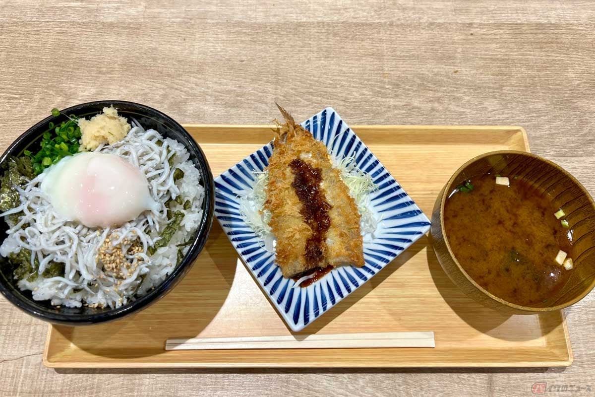 新東名「NEOPASA岡崎」(下り)で見つけた「三河しらす丼と三河フライ」(1000円)は地元感たっぷり。トレイと器の並びがなんとなくおしゃれ