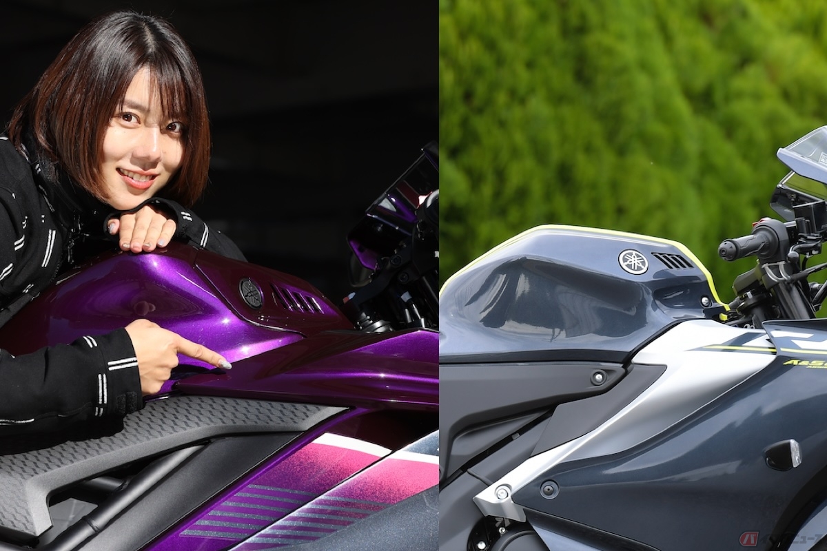 フルカウル部分が『YZF-R25』は2枚重なっているような設計で、『YZF-R15』はつるんと1枚で覆ったような設計になっている