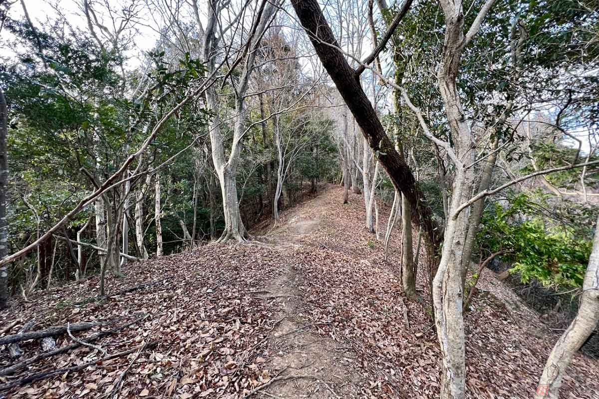 低山のトレッキングと思えばただの尾根道だが、山城の「曲輪（くるわ）」を繋ぐ道と捉えて歩くのも楽しい