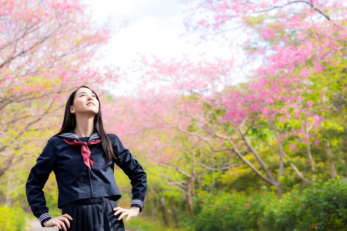 原付は、新学期、新生活に向けて購入する人が多いため、一般的に3月から4月にかけて特に需要が高まると言われている