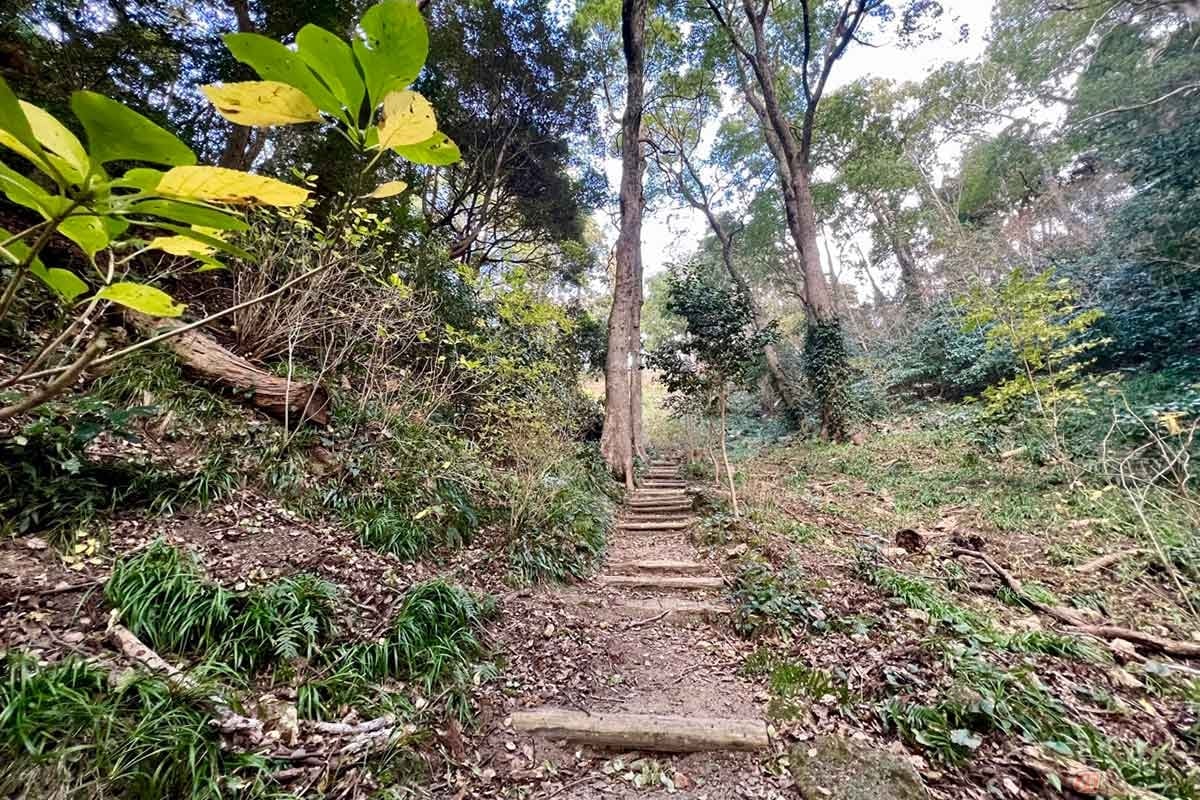 分岐点で近道を選択すると、急な階段が待ち構えている。深い谷があり、いきなり山城らしくなる