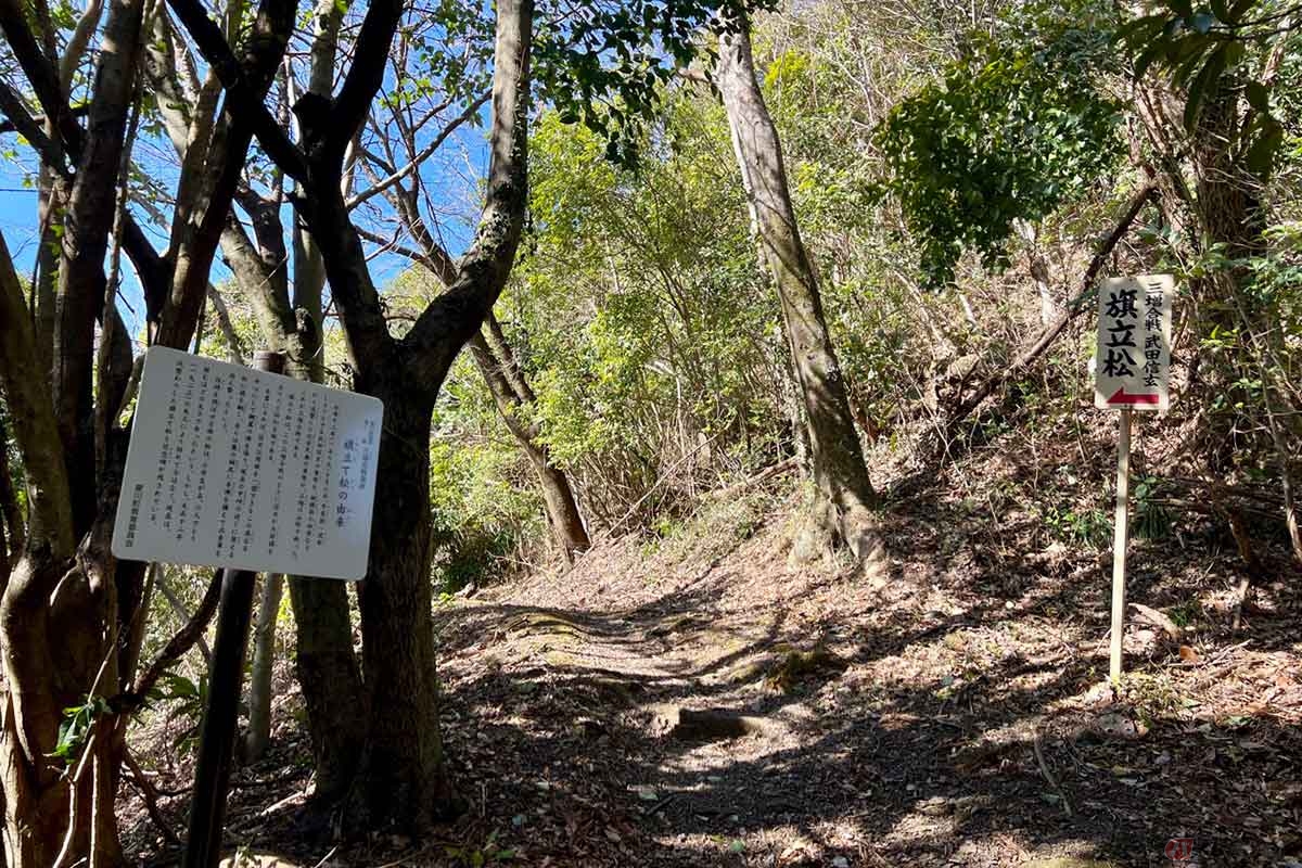 武田信玄が風林火山の旗を立てたと伝えられる松の木は、現在はゴルフ場の敷地内にある。信玄は高台を中心に陣を張り、自らは麓で本陣を構えて北条軍を迎え撃ったと伝わる