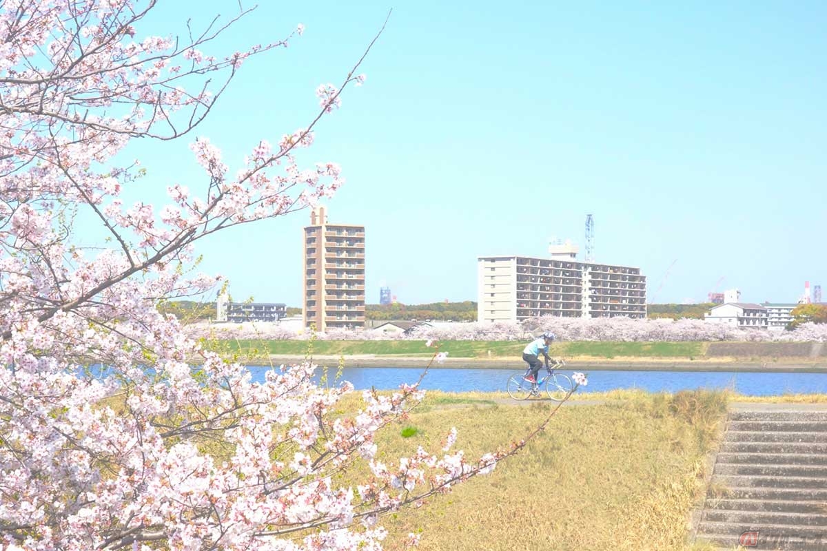 自転車保険に加入しておけば、万が一の際に補償を受けられる