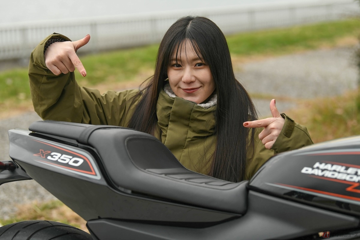 シートは二段になっていて、タンデムラインとの境目がハッキリしている