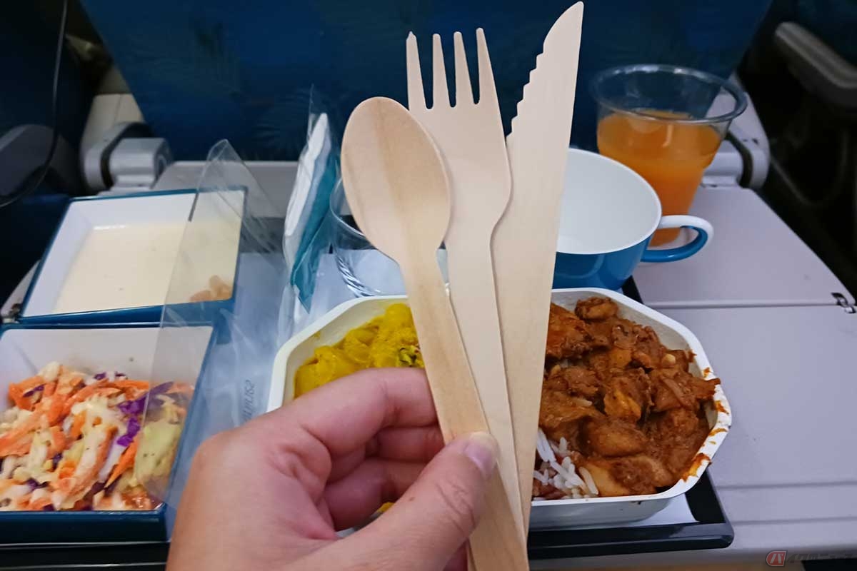 カトラリーは木製。カレーとコールスロー、デザートを食べるには十分