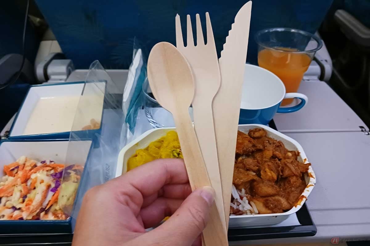 カトラリーは木製。カレーとコールスロー、デザートを食べるには十分