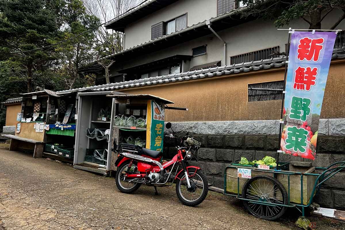 せっかく三浦まで来たので、直売所で名産品の春キャベツを購入