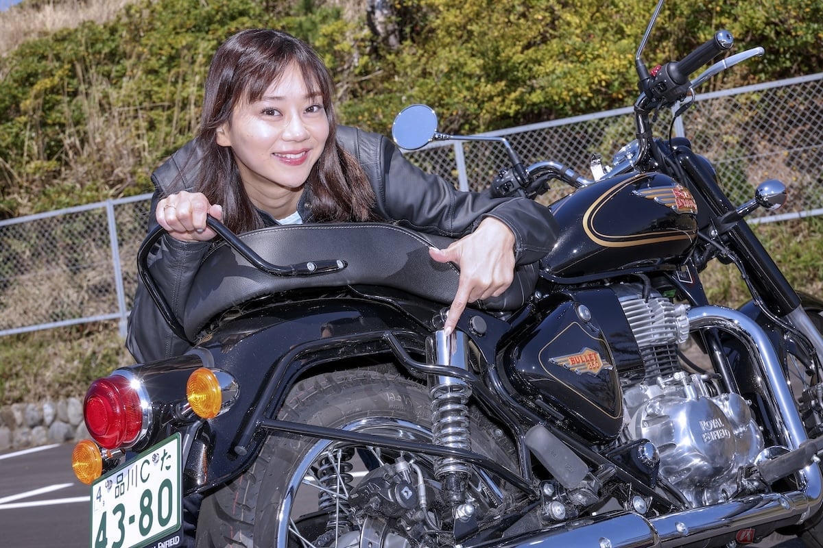 タンデムシートの下にリアフェンダーとサスペンションを囲むようにサリーガードが装備されている
