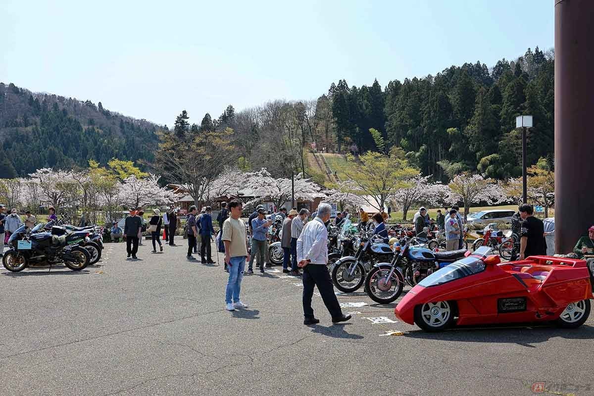 前回開催地とは異なり、今回は「三条パール金属スタジアム駐車場」に場所を移しての開催。ちょうど桜が満開となり、絶好のお花見日和でもあった(写真/小林ゆき)