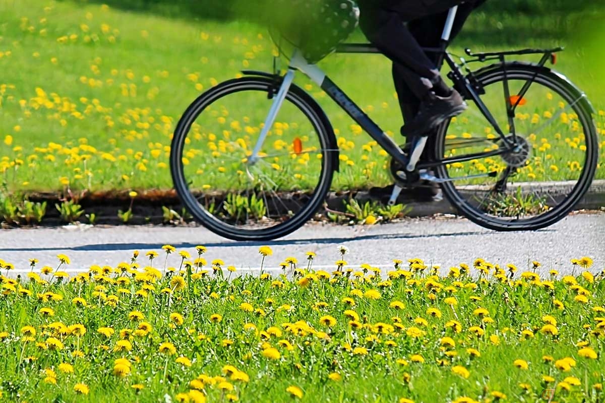 馴染み始めがタイミング 新しく購入した自転車は初回点検を忘れずに 