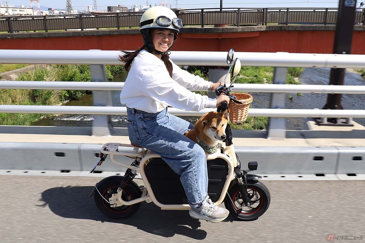 中型犬まで載せることができる電動原付「E-Carry Bike Doggie」(柴犬 お座り時高さ 60cm肩幅20cm 体重14kg)