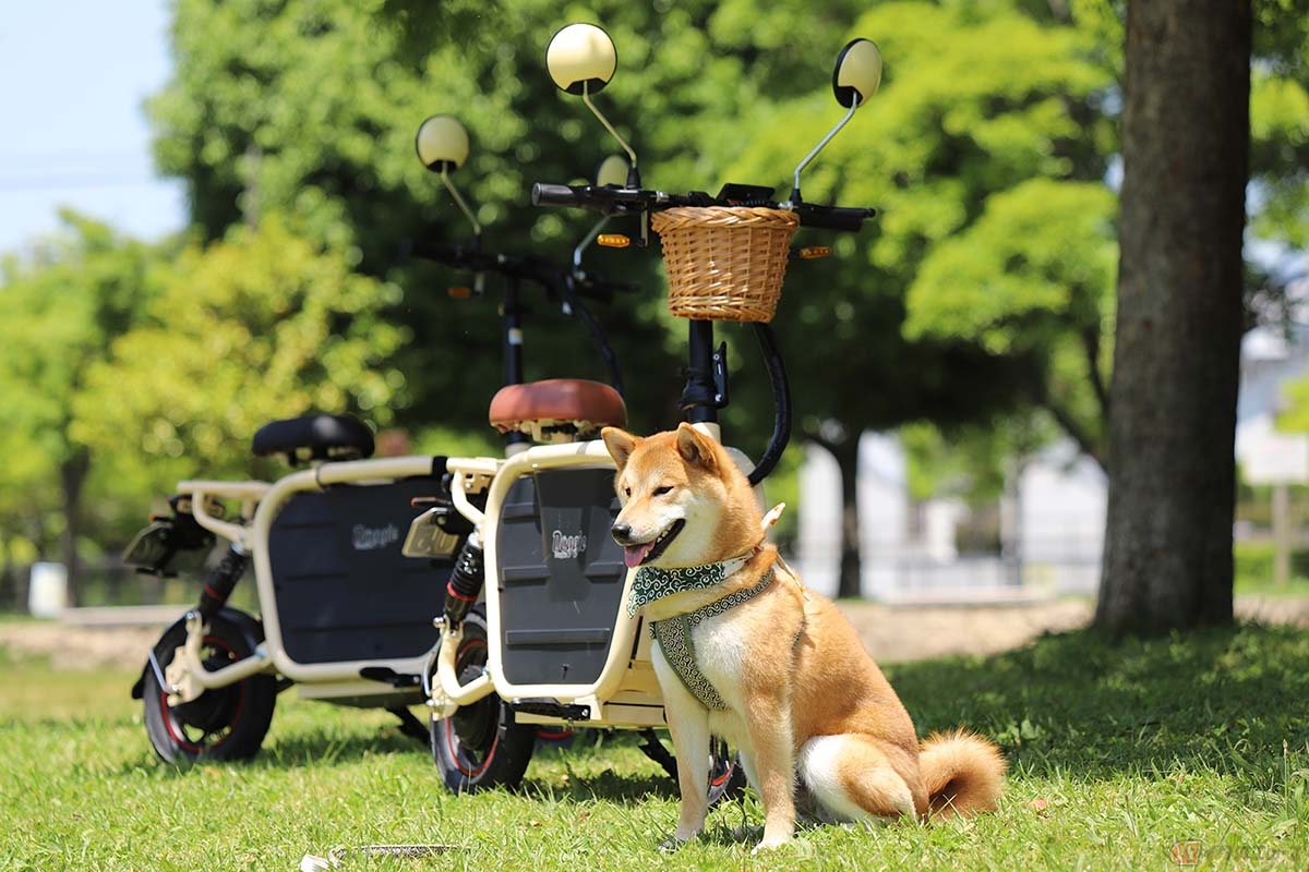 中型犬まで載せることができる電動原付「E-Carry Bike Doggie」と開発者の愛犬「太陽」