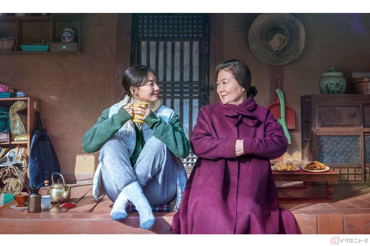 (c) 2023 SHOWBOX AND STORY FOREST ALL RIGHTS RESERVED.