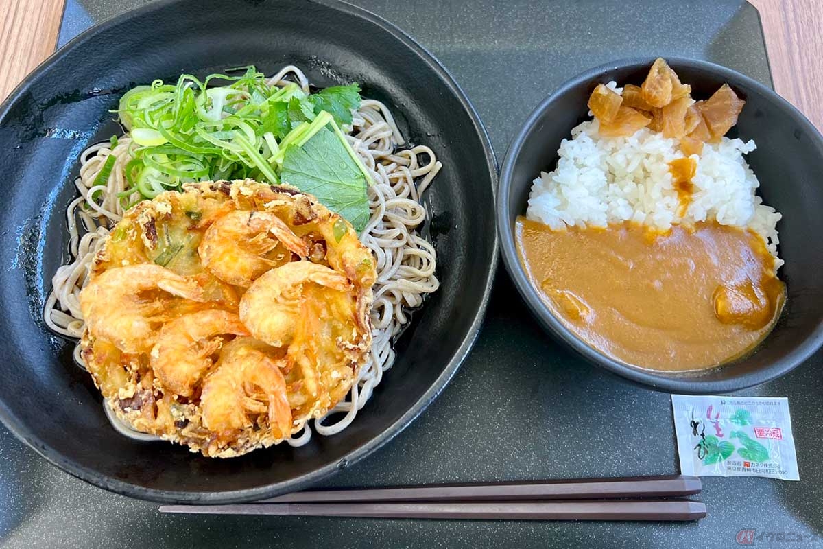 東名高速「EXPASA海老名」(下り)で「芝大門 更科布屋」に入店。「冷やしかき揚げそば」(900円)と「セットミニカレー」(400円)をオーダー