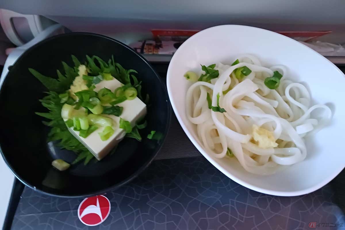 うどんと冷奴。冷奴の薬味がうれしい。日本の豆腐はヨーロッパではなかなか食べられないので、貴重