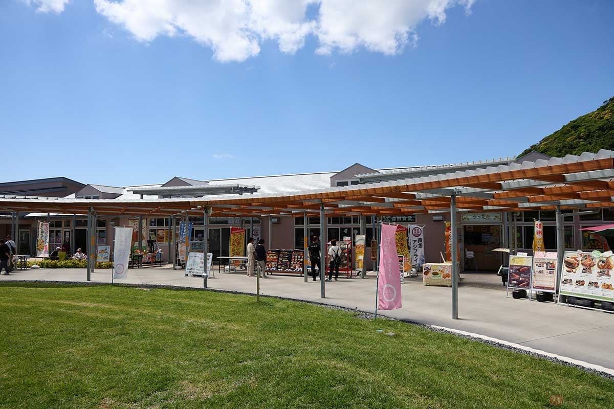 「道の駅 保田小付属ようちえん」は2023年秋にオープンしたばかりで、こちらも幼稚園だった建物を再利用している