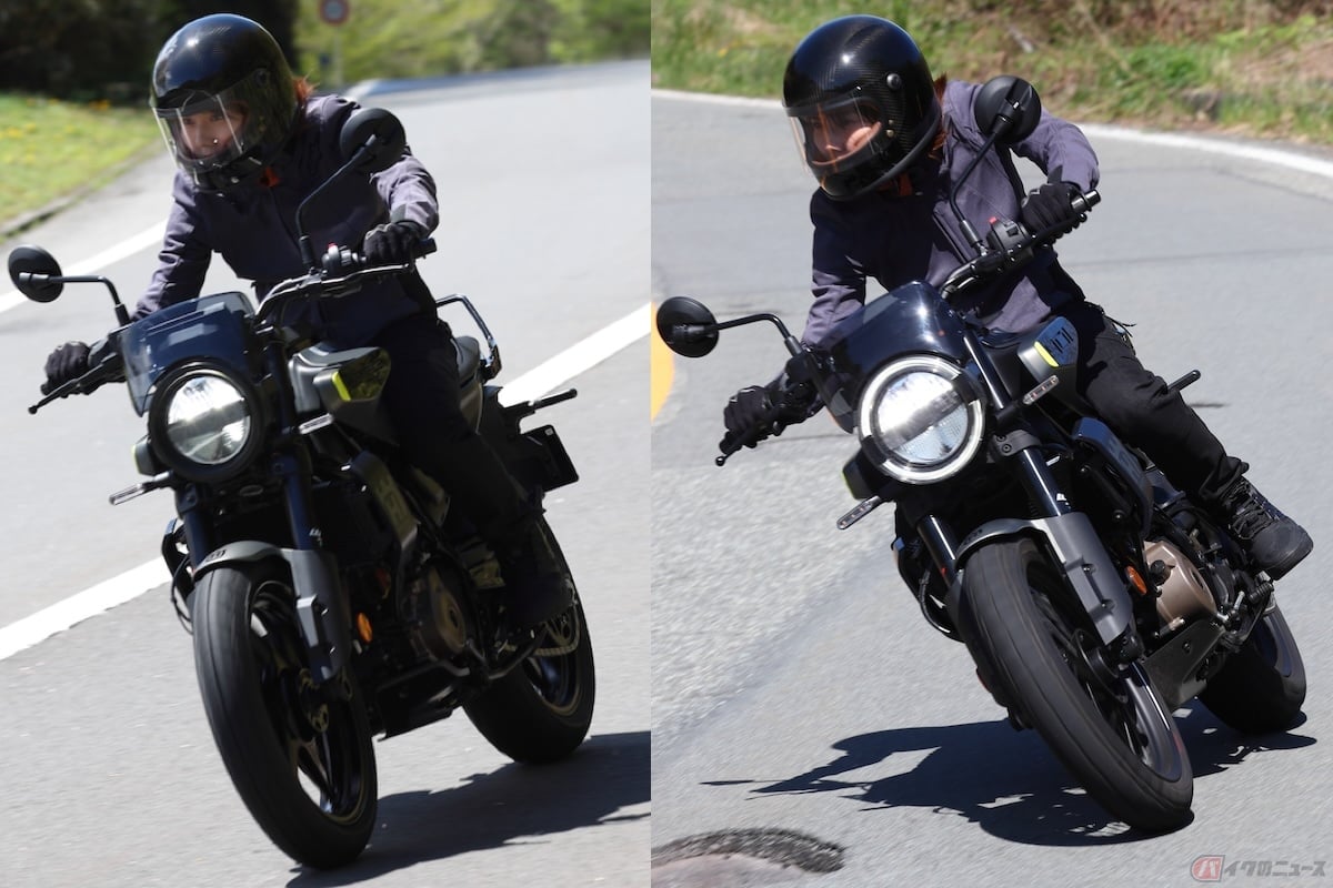 スヴァルトピレン250とスヴァルトピレン401を比較してみた