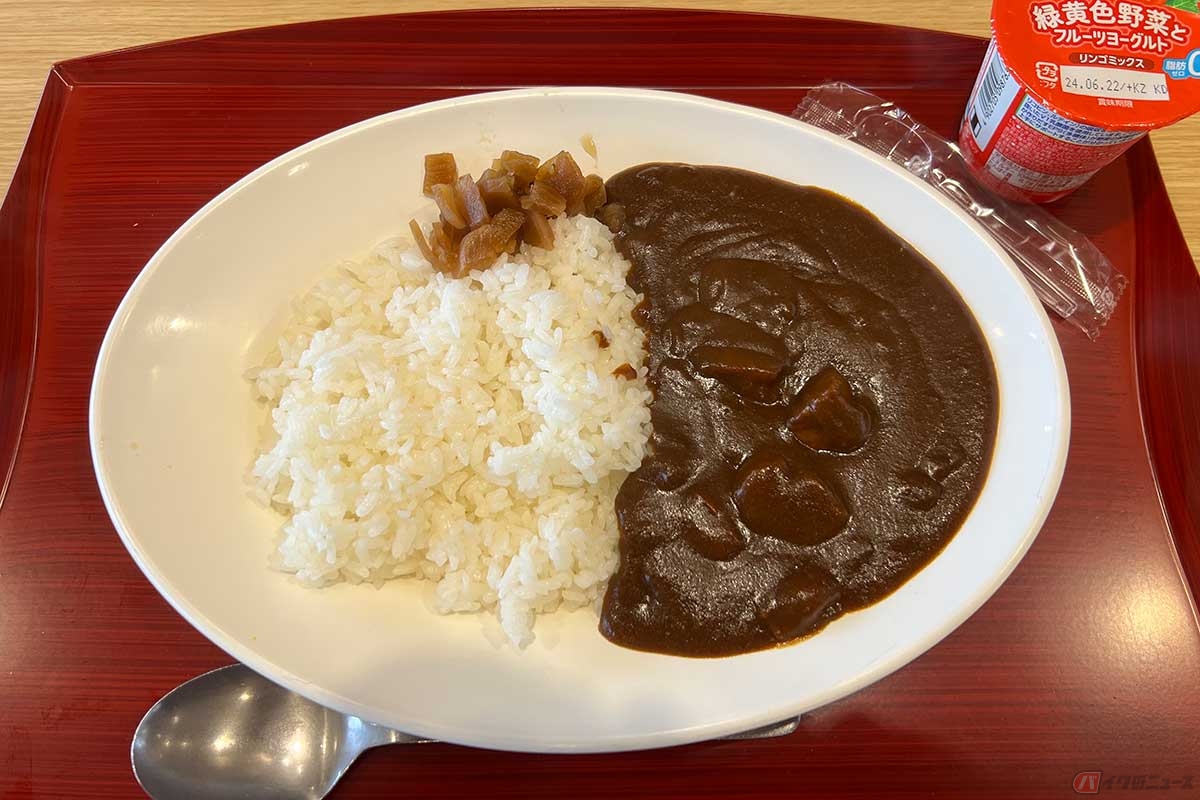 圏央道「厚木PA」(内回り)でいただく超シンプルな「ポークカレー」(780円)は、昔ながらの安心して食べられる味だった