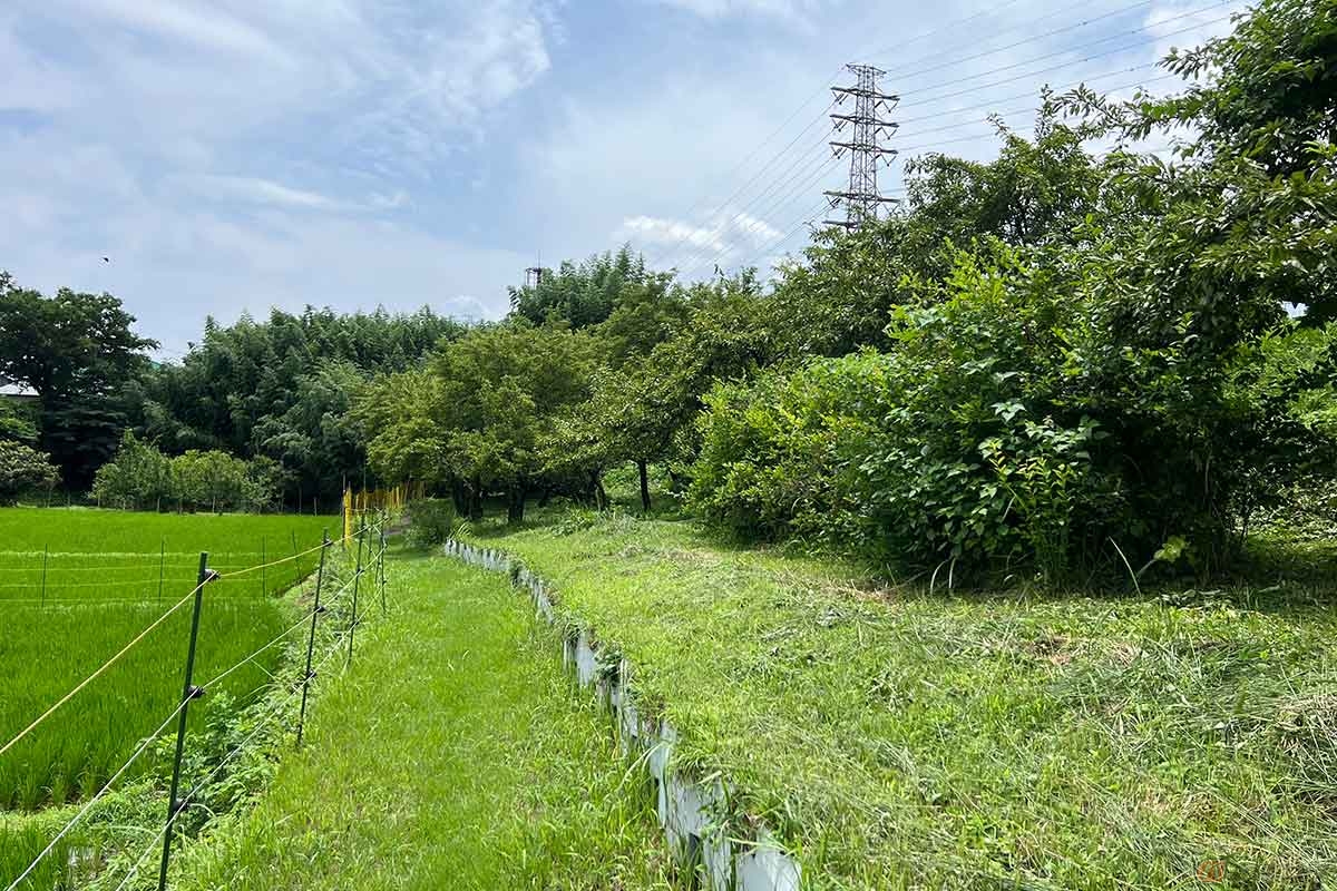 田園を左に眺めながら、城跡碑のある場所まで歩く。距離はとても短い