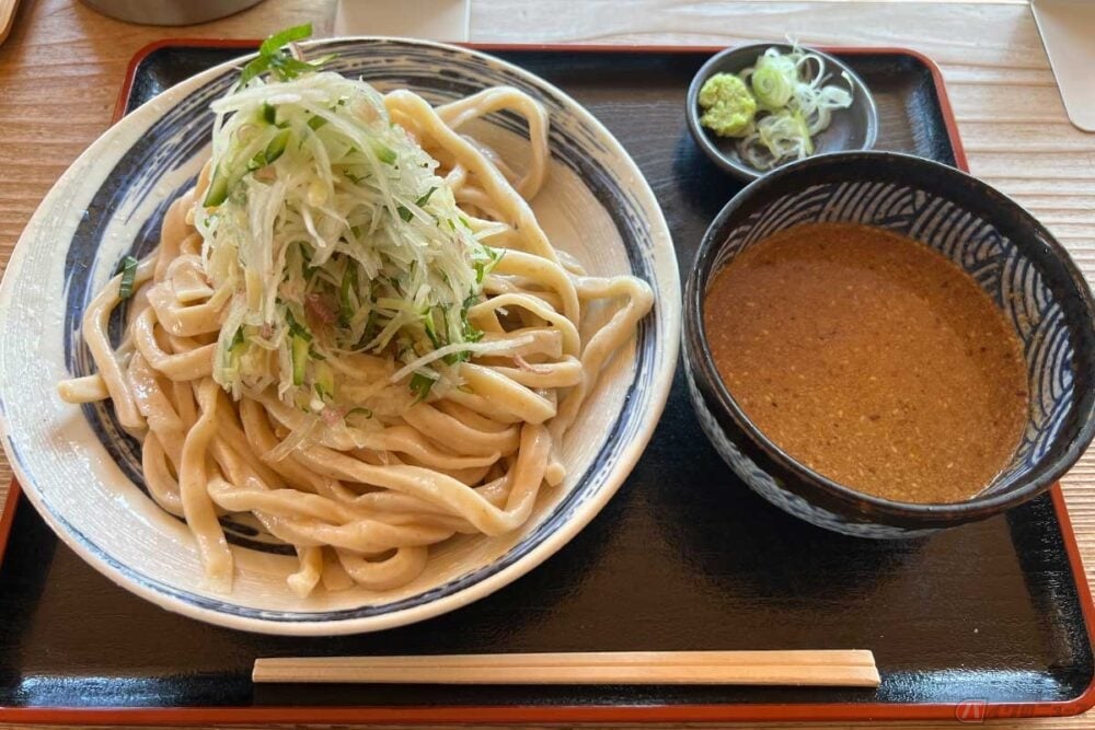 「本手打ちうどん庄司」の夏限定メニュー「すったて」は、うどんの上に夏野菜がどっさり盛られている。清涼感と食べ応え、そして夏バテにも強い健康食の面もあり、人気の高さに納得