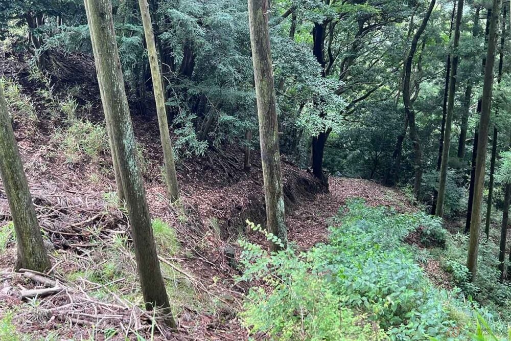 これ以上進むのは危険と判断して行き着いた場所には、尾根や平地も見えた