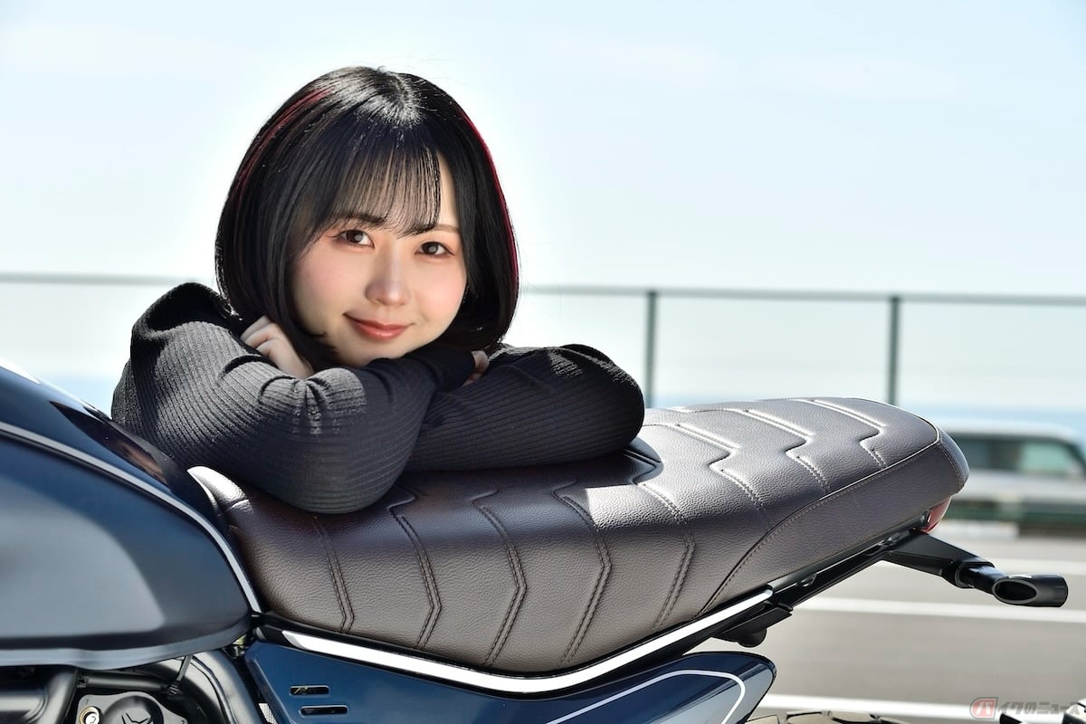 タックロールシートと思いきや、よく見たらステッチのデザインすごい!