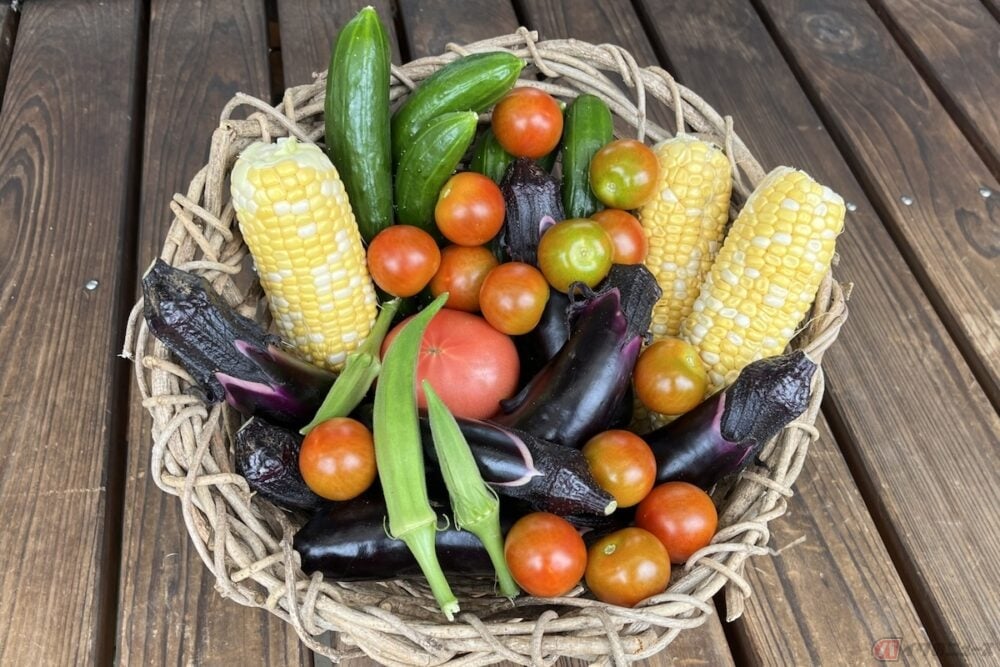 夏野菜には、水分が多く含まれているため体温を下げる効果が期待できる