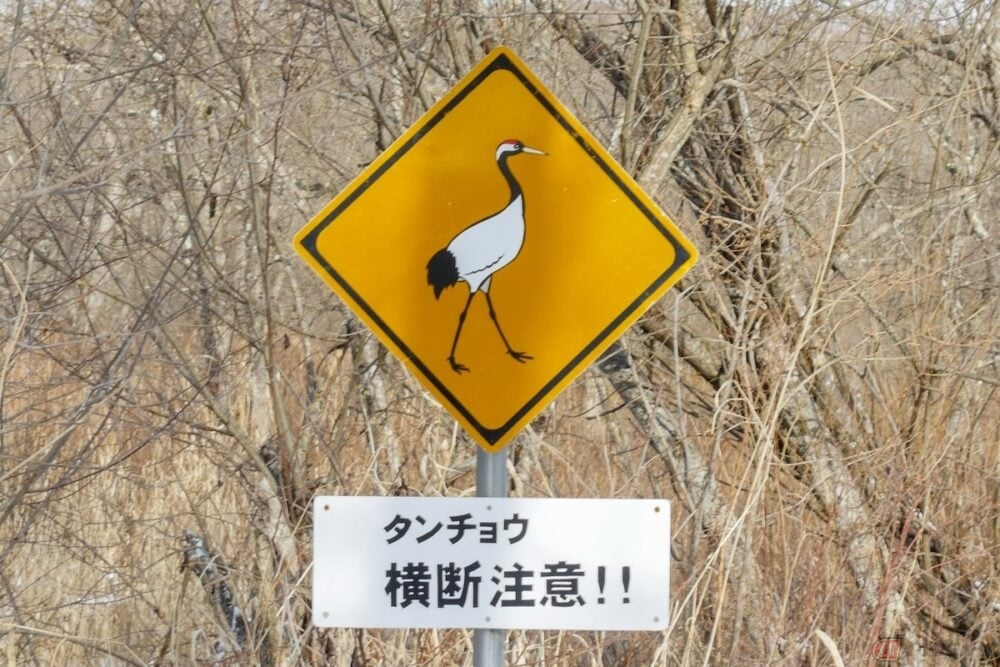 北海道にある「タンチョウ」の動物注意標識