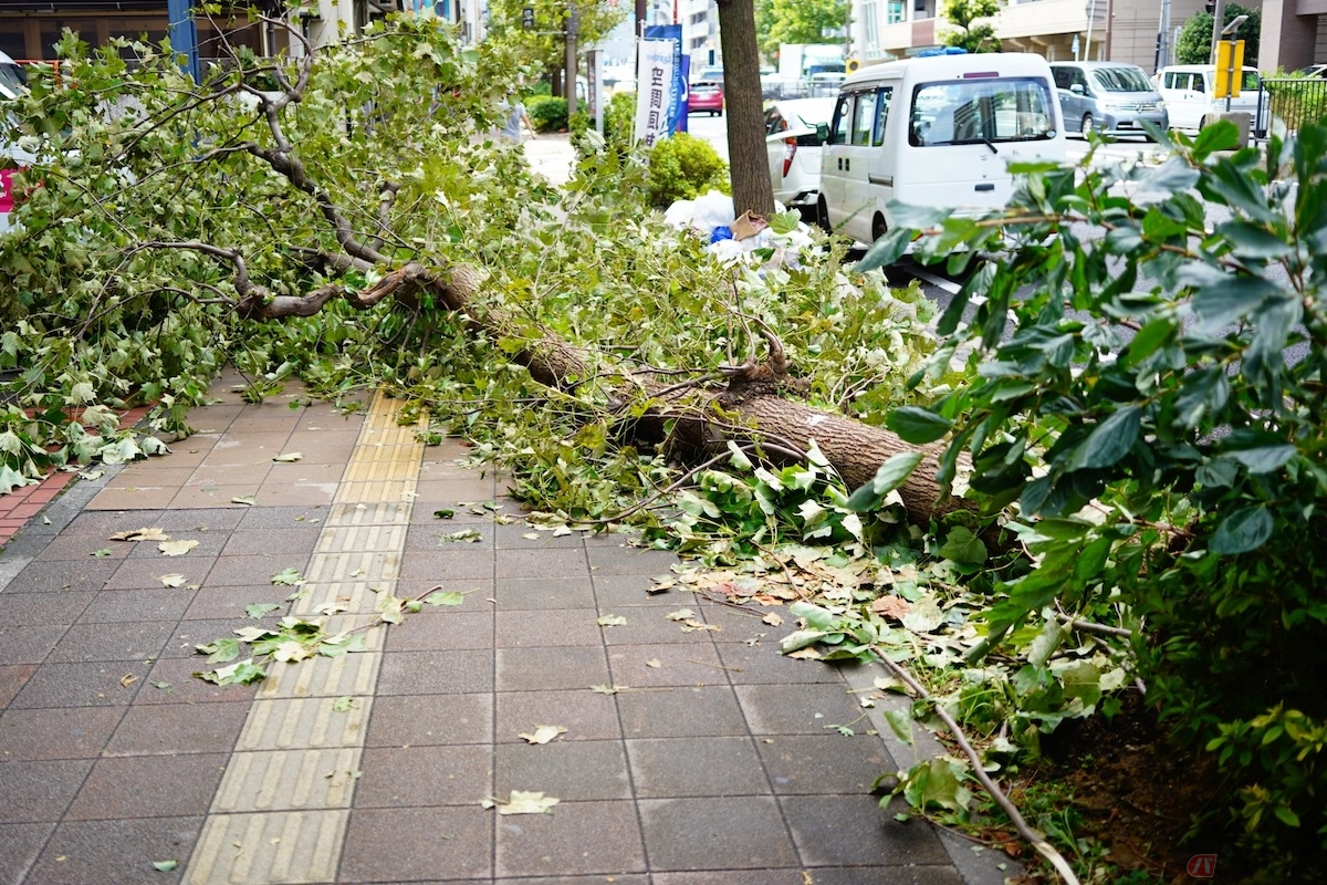 注意したいのが台風などの強風によるバイクの転倒は、バイクがあおられて倒れてしまうリスクが高くなる