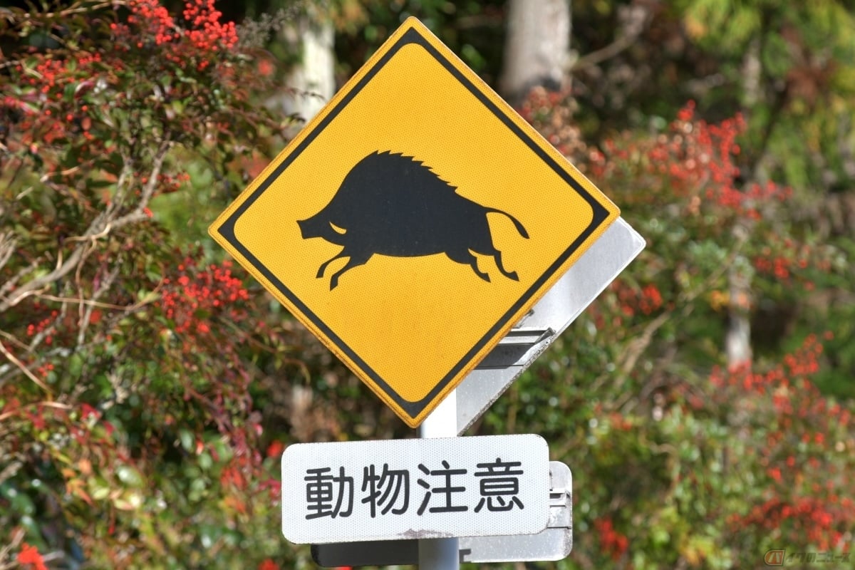 「黄色」は、注目を集めやすく危険や注意を伝えるときに適した色