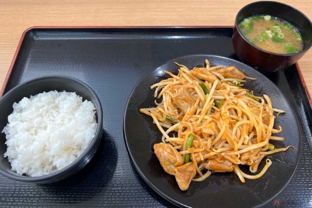 東北道「安積PA」（上り）で味わった「ホルモン炒め定食」（980円）は、どことなくニンニクの芽が間引きされたような印象。トレーの上にあるはずのたくあんも見当たらなかった