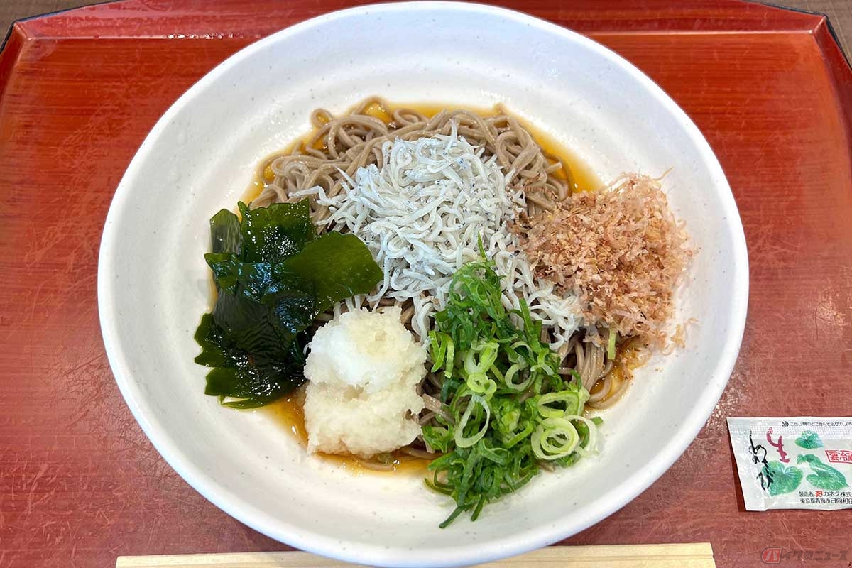 圏央道「厚木PA」(外回り)で、朝食に「夏のおすすめメニュー」の中から「冷やししらすおろしそば・うどん」(980円)をチョイス。暑い朝にぴったりの味わいだった