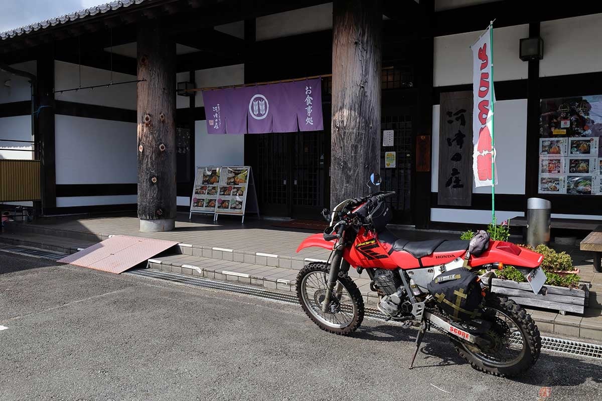 「伊豆オレンヂセンター」に併設される「食事処 河津の庄」では、とろろ汁や生わさびなど、伊豆の名産品が食べられる