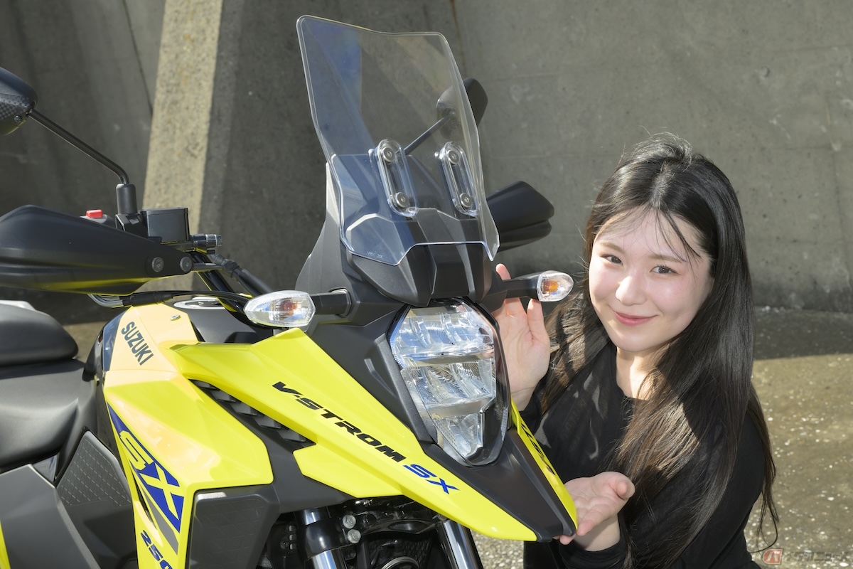 Vストロームといえば…のクチバシが付いているようなお顔が特徴