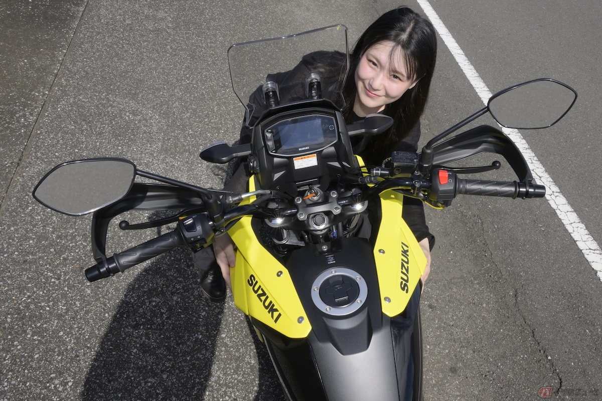 わたし的には、鳥というよりもキリンみたいと思った理由は、上から見た時のナックルガードが耳を連想させる