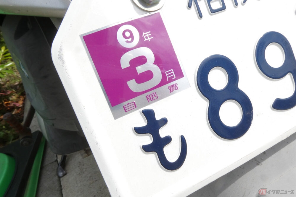 3-14-1000x667.jpg?v=1725526035