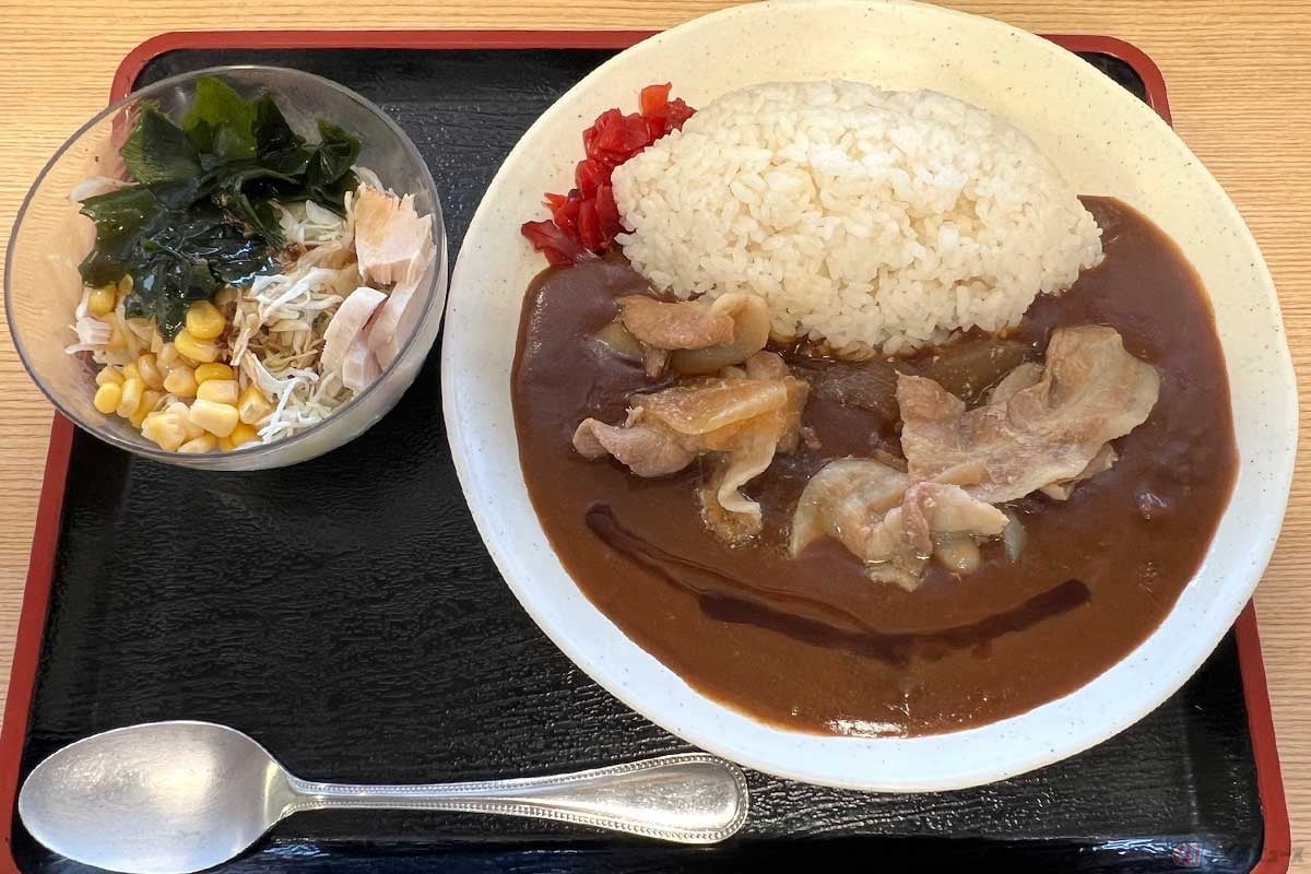 東名高速「港北PA」(上り)の「港北食堂」新メニュー「自家製肉煮カレー&わかめサラダセット」(1130円)。豚肉がたっぷり入ったカレーは安定の味。わかめサラダとの相性も抜群だった