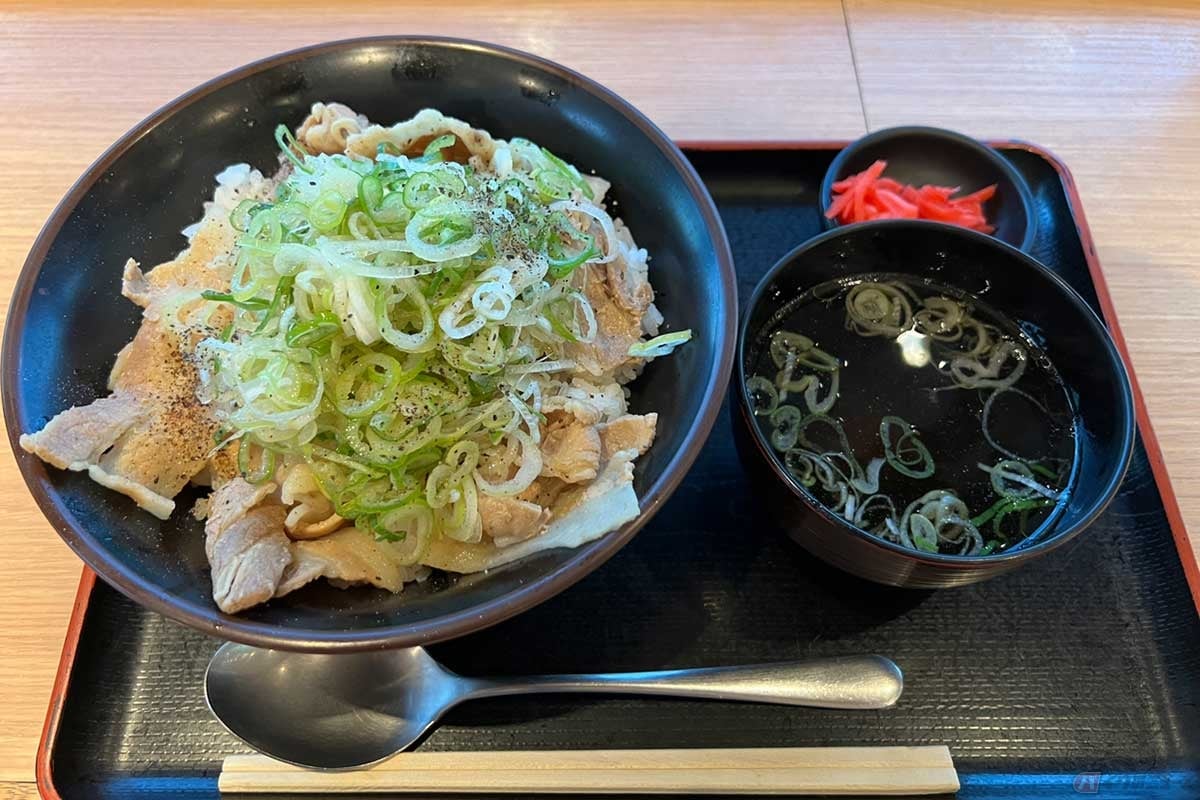 関越道「嵐山PA」(下り)でいただく「嵐山特盛ねぎ塩トンちゃん丼」(1000円)は、さっぱりとした塩味のねぎが大量に盛られ、黒胡椒がたっぷり振りかけられた食欲をそそる丼