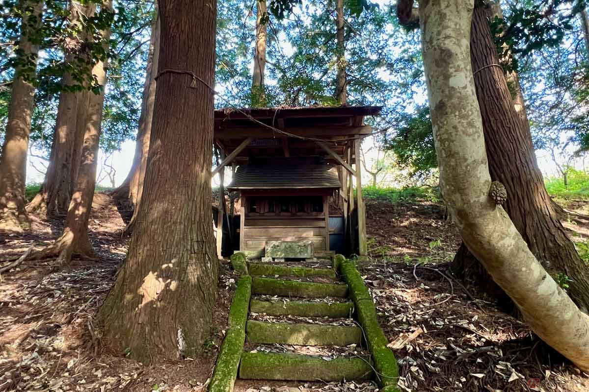 大手虎口(こぐち:出入口)も平場になっており、そこに建つかなり古い祠にお参りしてから散策した