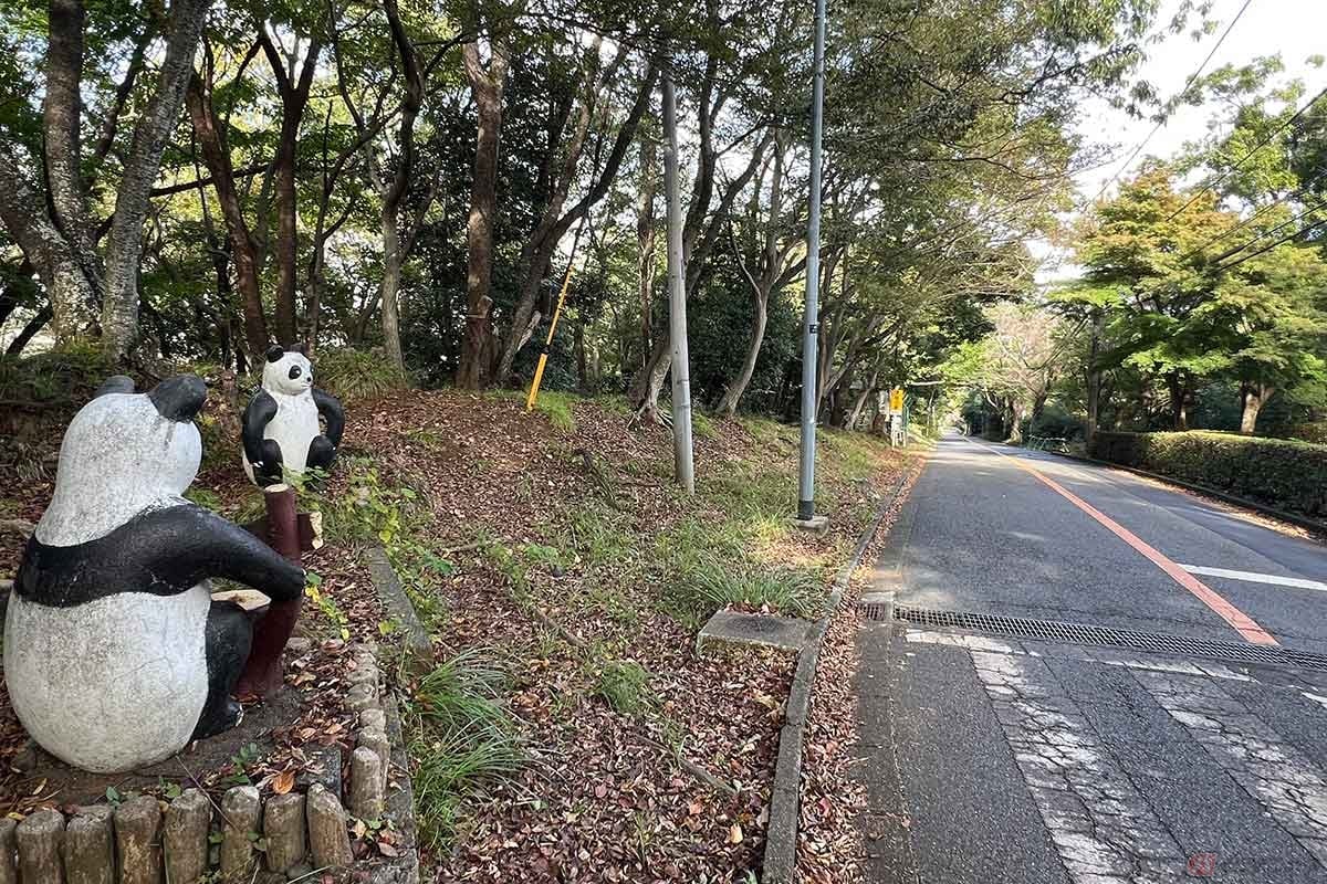 クライマーが苦しむのを少し間抜けな(?)表情で見守るパンダの親子が「パンダ坂」の名前の由来です