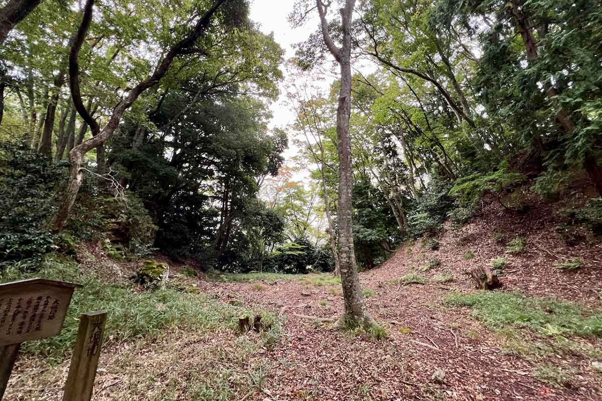 本丸の北には巨大な堀切が残されている。長い山城を分断させる防御の機能はまた、浅井父子共々自害に追い込むことにもつながったのだろうか