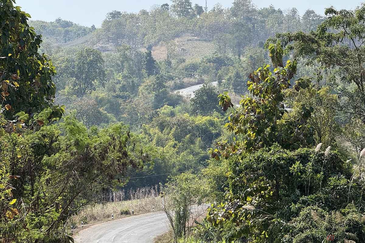 フェリーを下りた後も続く、ルート「1339」の強烈なアップダウン