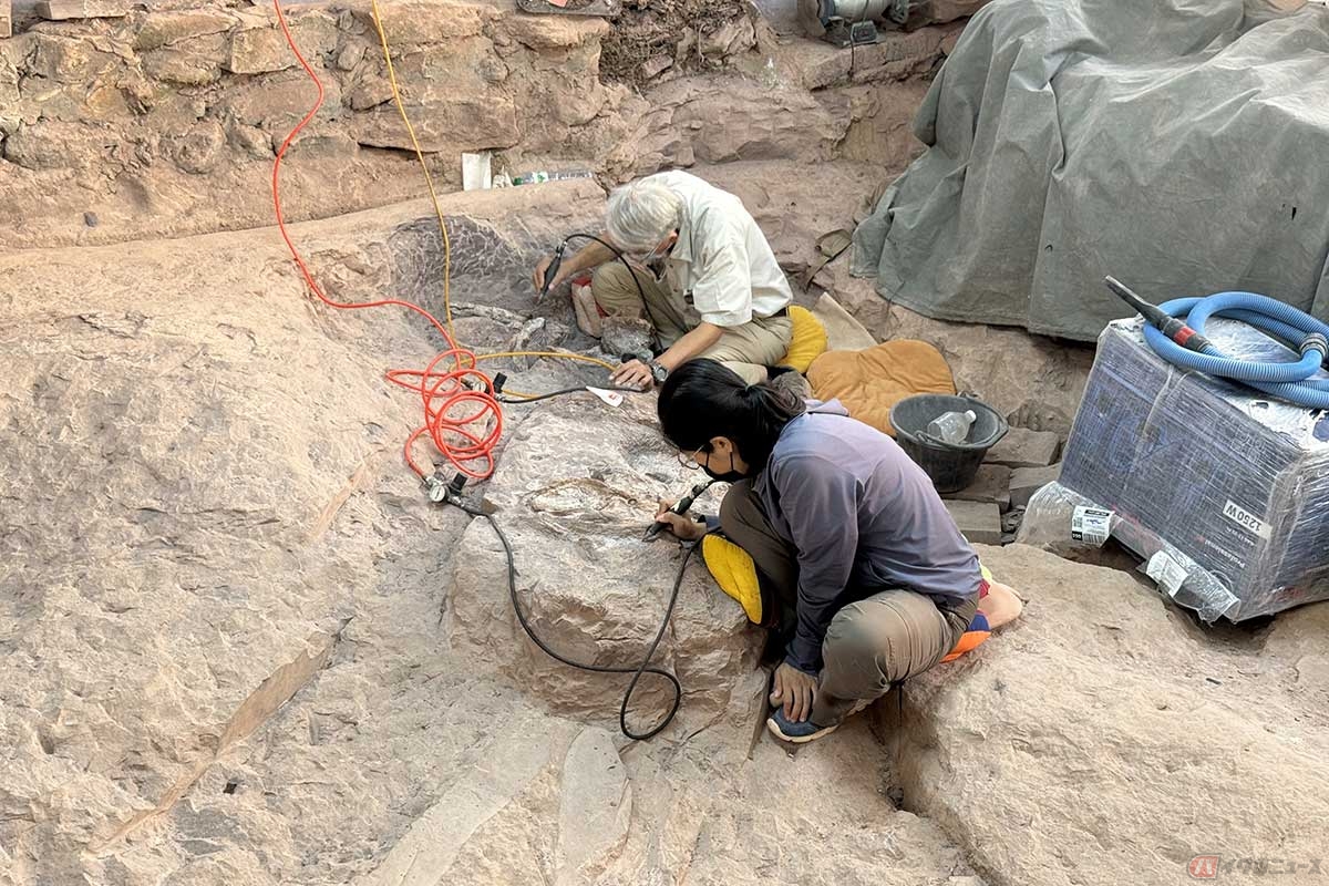 「プーウィエン国立公園」のハイキングコース上にある「サイトNo.3」では、実際に岩から化石を取り出すクリーニング作業が行なわれていました