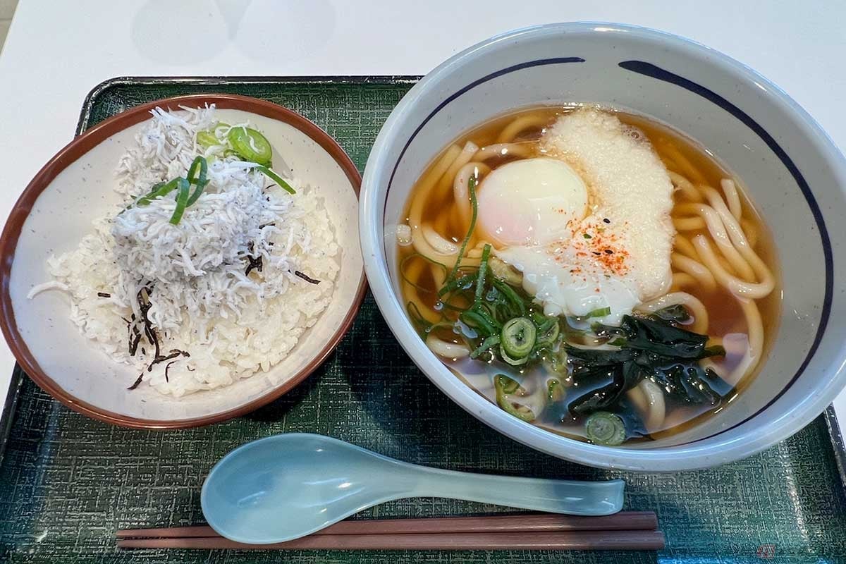 新東名「NEOPASA駿河湾沼津」(上り)で温玉ととろろが入った温かいうどんと、釜揚げしらすが盛られたご飯を実食。この組み合わせは冬の朝ごはんに最適だった