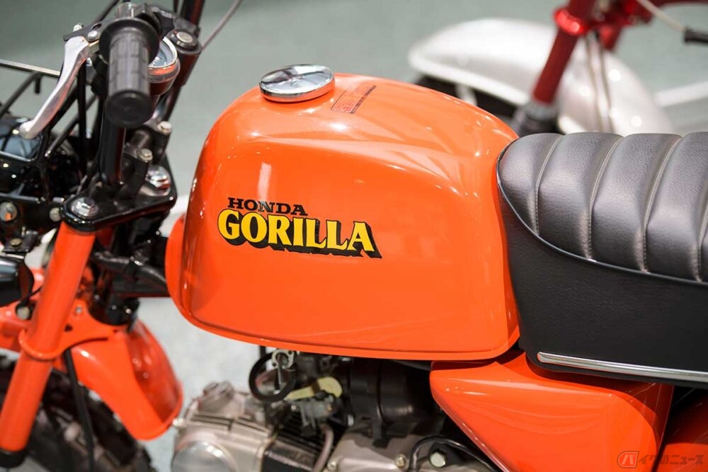 20250428_gorilla_03-1000x667.