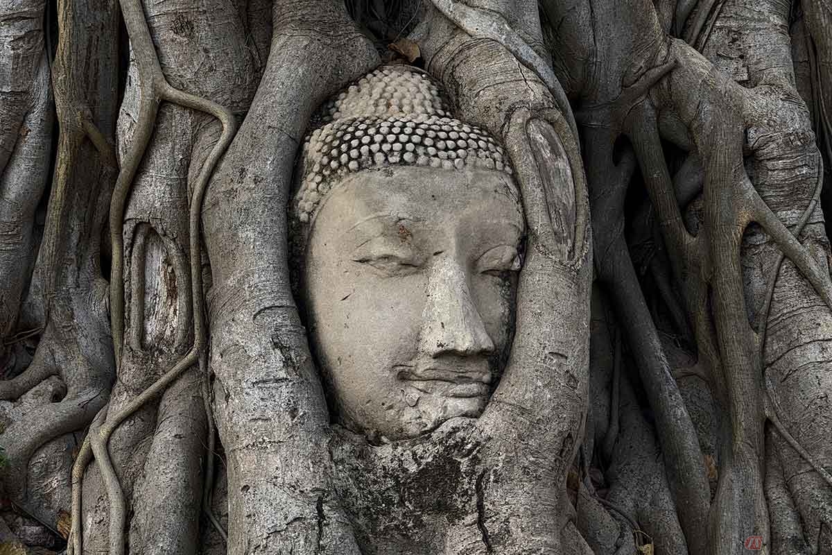 「ワット・マハタート」にある木の根に飲み込まれた仏像の頭部はアユタヤ遺跡のハイライトです。混雑前の朝に訪れるのがオススメです