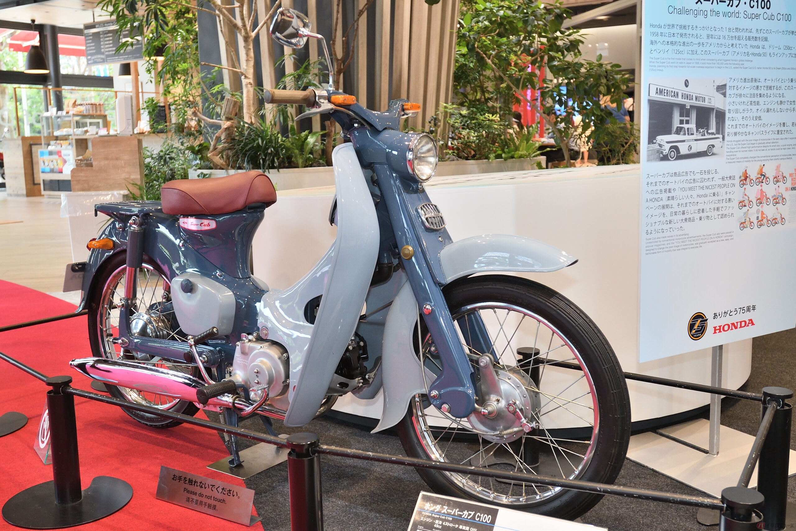 ホンダ「スーパーカブ C100」