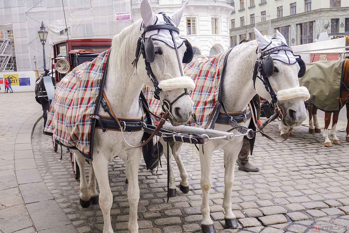 馬車が主な交通手段だった時代に、馬を縦に2頭並べて牽引することを「タンデム」と呼んでいた