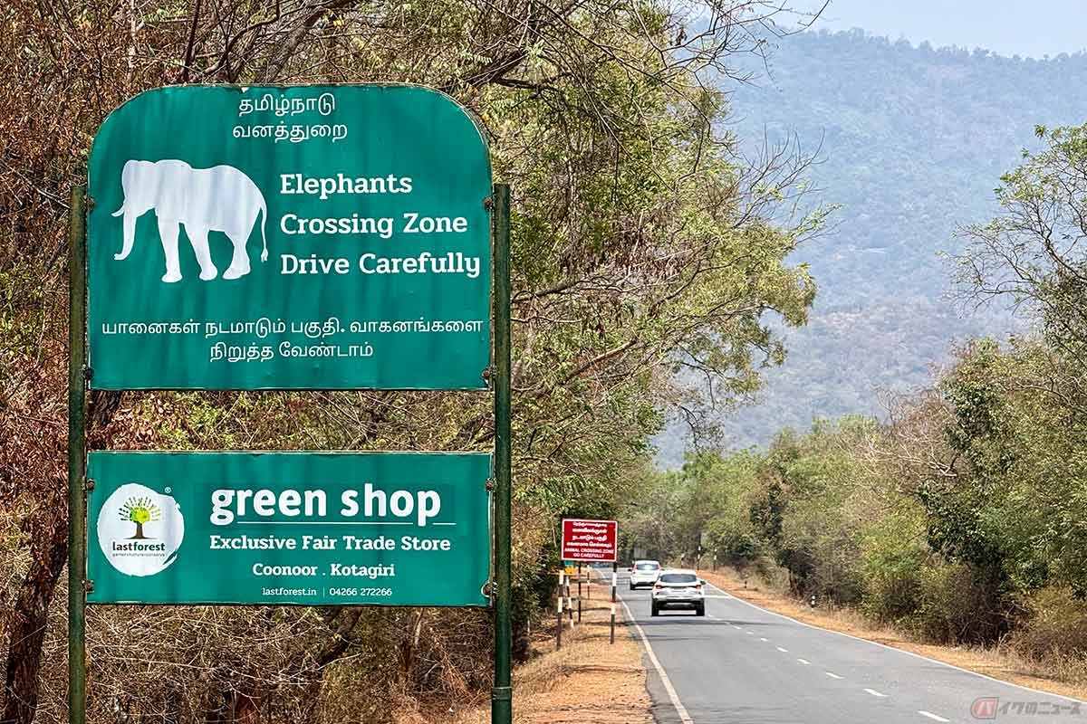 南インドの西部に位置する世界遺産「西ガーツ山脈」は野生動物の宝庫。ゾウやトラの生息域で、動物注意の看板が多く見られます